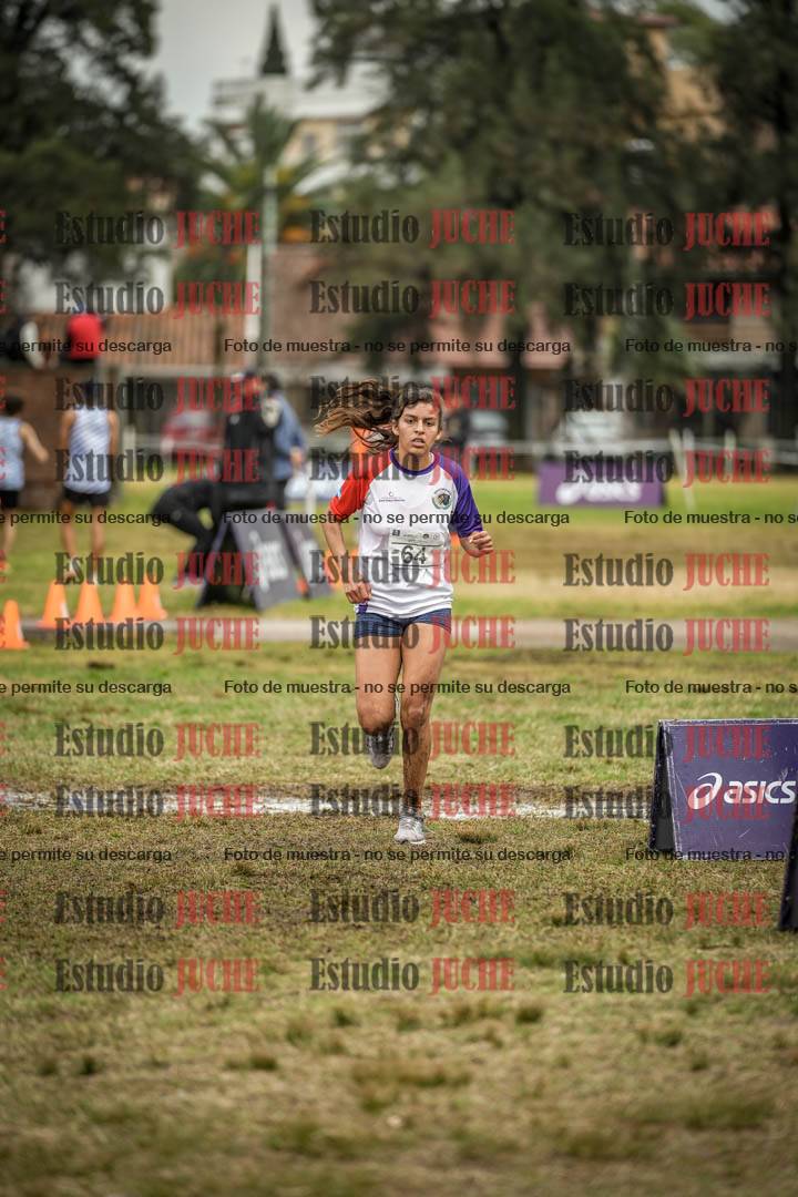 Fotos de la llegada