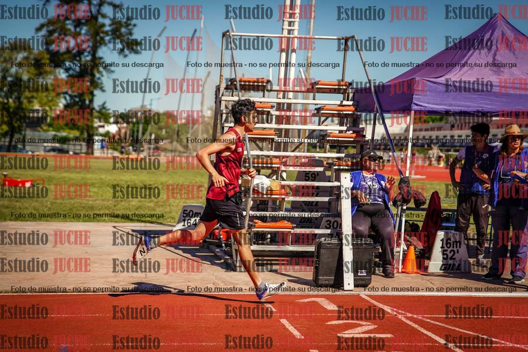 Fotos de los 800 m llanos de varones
