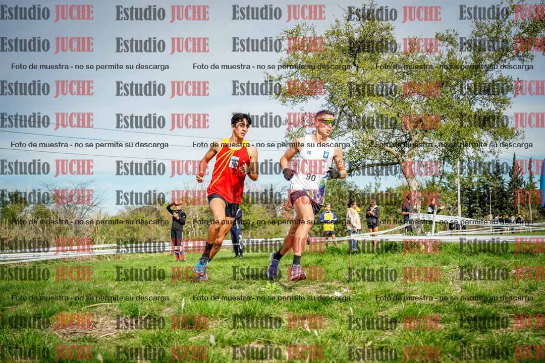 Fotos en el circuito