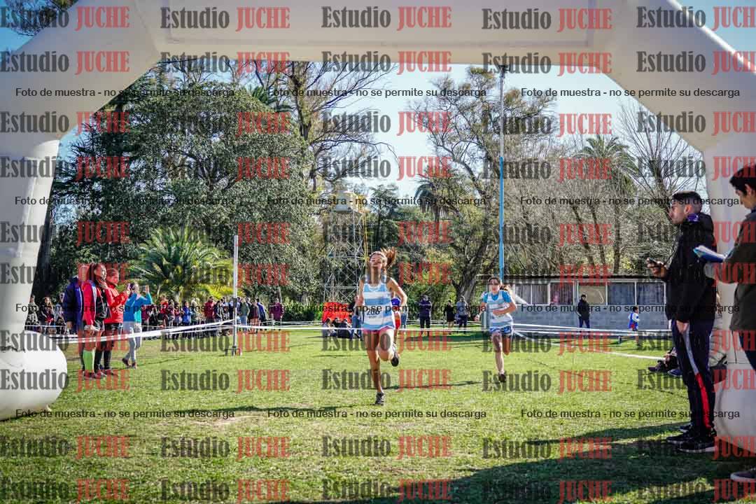 Fotos de la llegada del cross de 1500 m