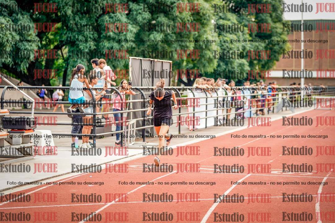 Fotos de los 295 m con vallas de mujeres