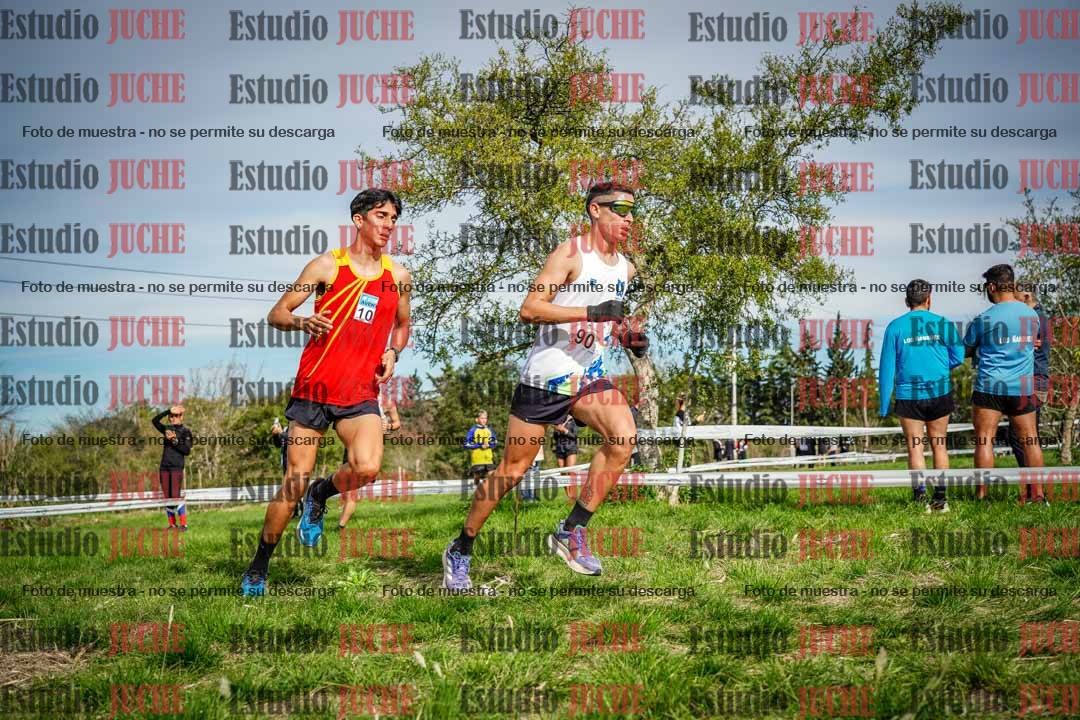 Fotos en el circuito