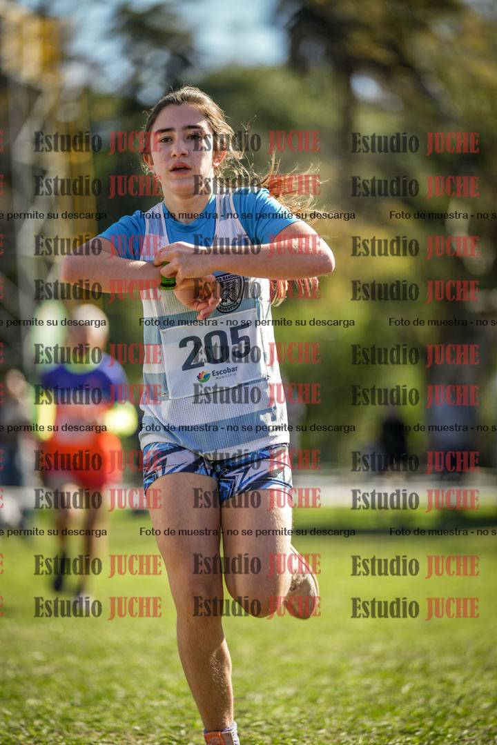 Fotos de la llegada del cross de 1500 m