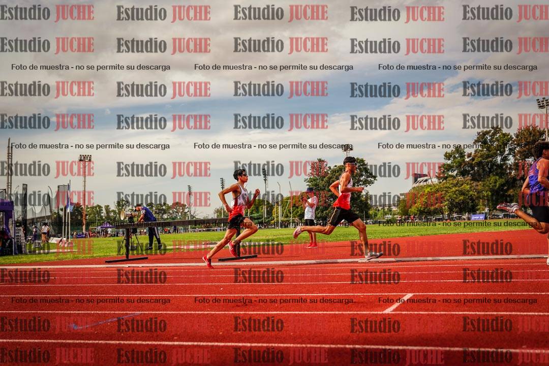 Fotos de los 800 m de varones