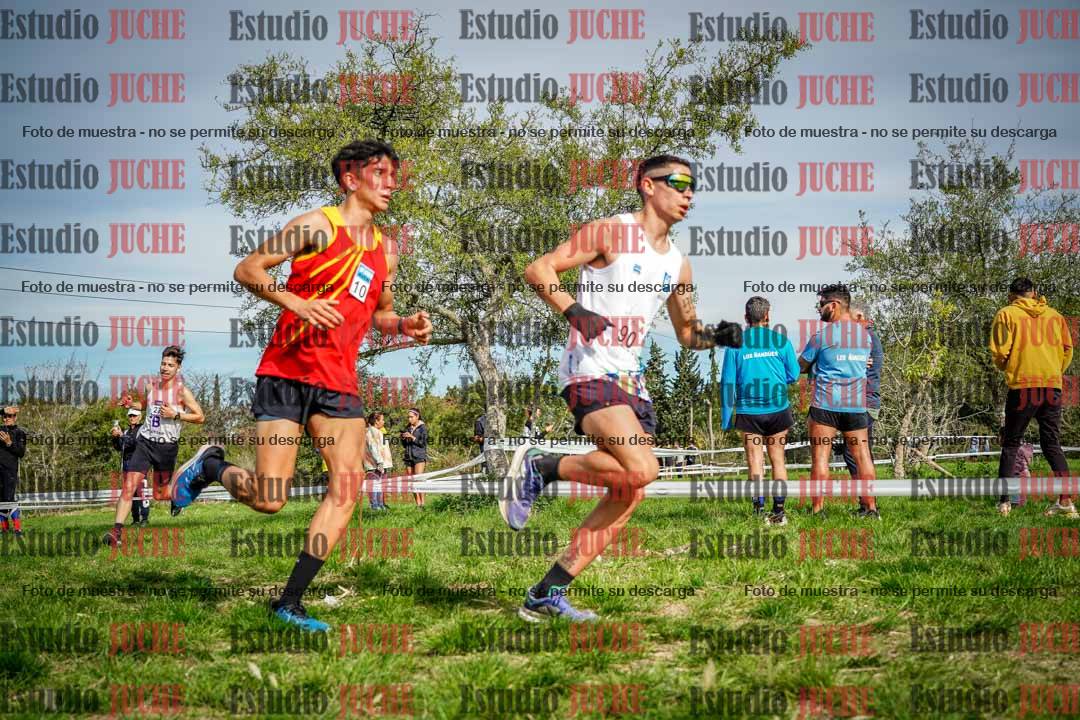 Fotos en el circuito
