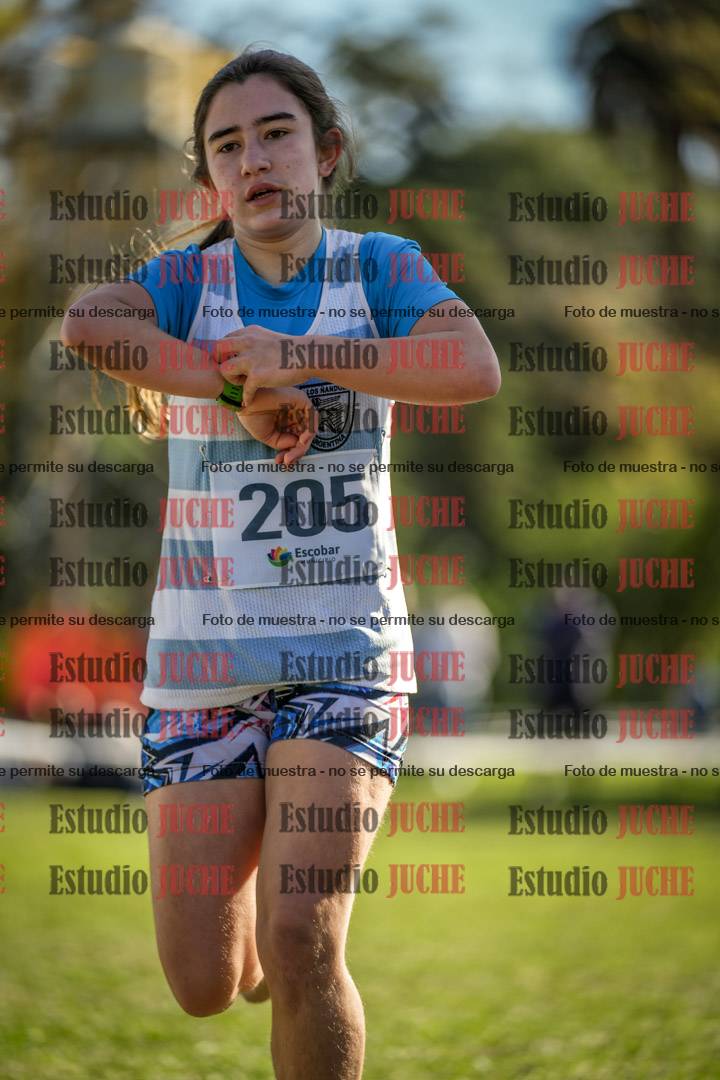 Fotos de la llegada del cross de 1500 m