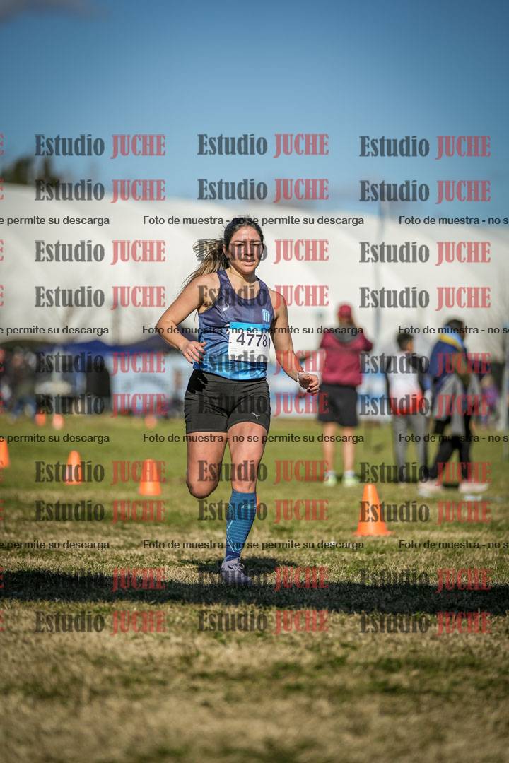 Fotos de las llegadas