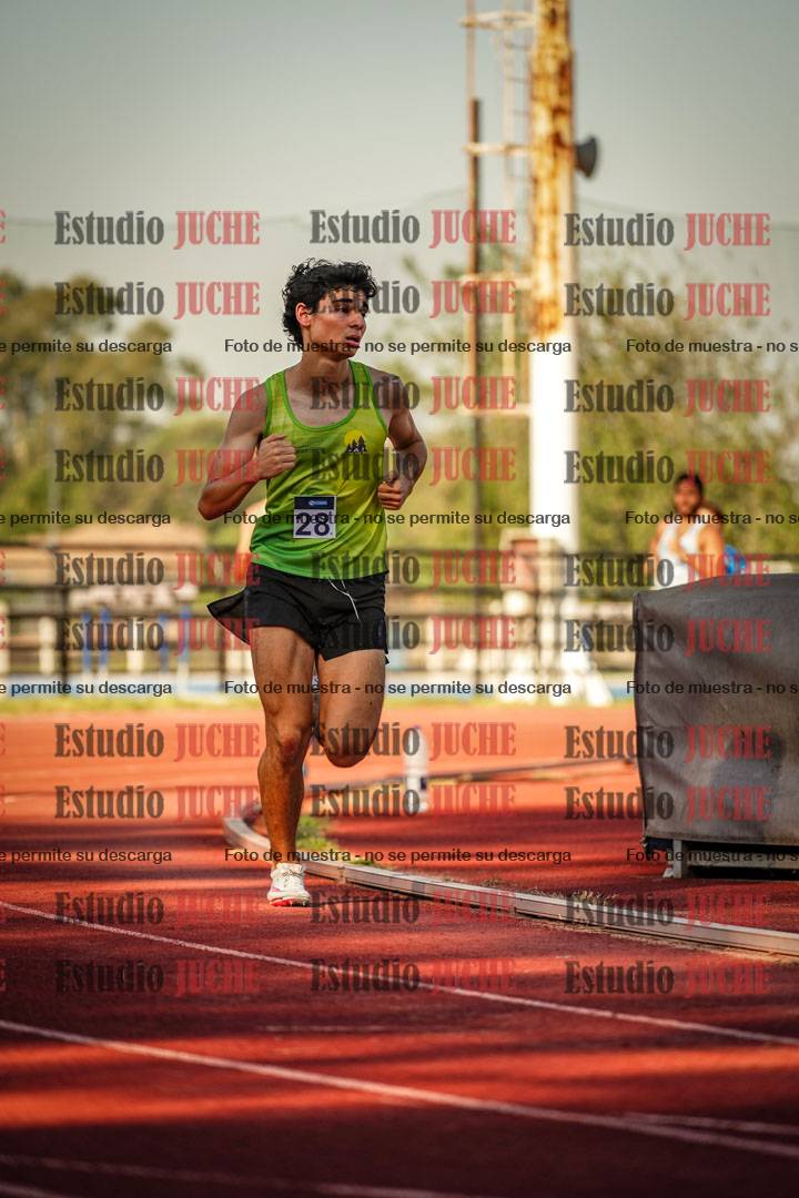 Fotos de los 800 m llanos de varones