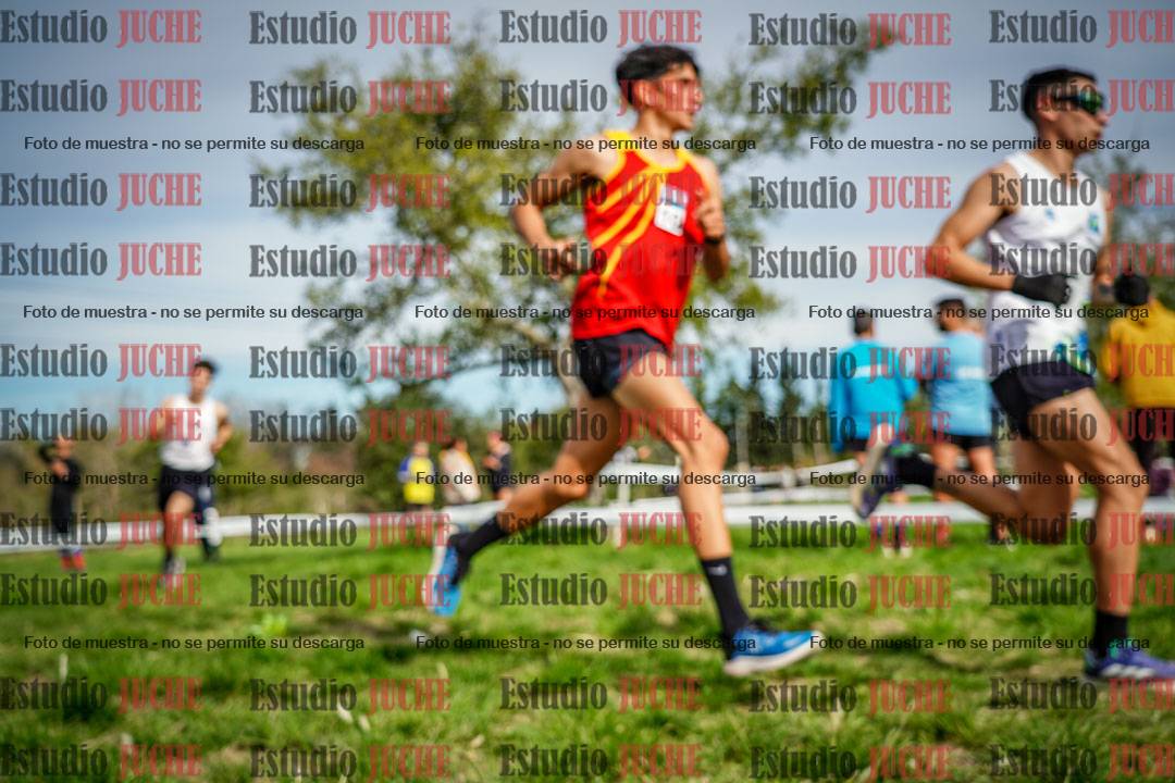 Fotos en el circuito