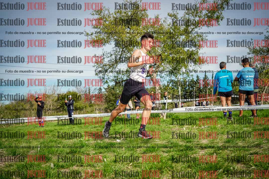Fotos en el circuito