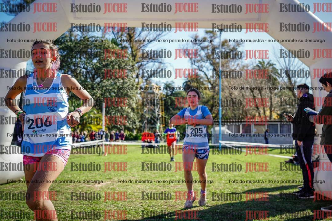 Fotos de la llegada del cross de 1500 m