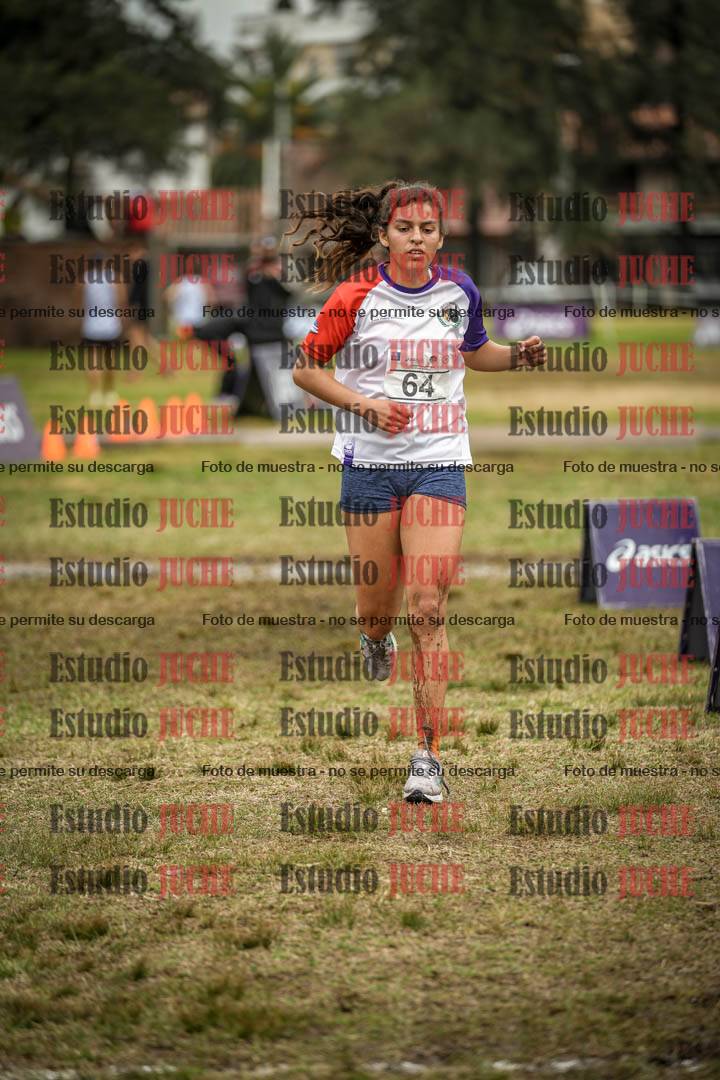 Fotos de la llegada