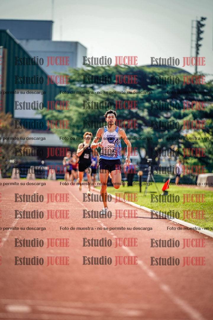 Fotos de los 800 m llanos de varones
