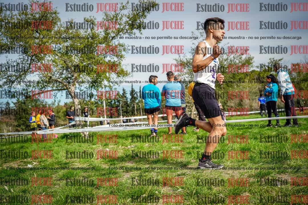 Fotos en el circuito