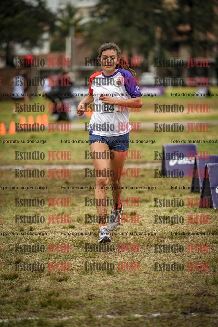 Fotos de la llegada
