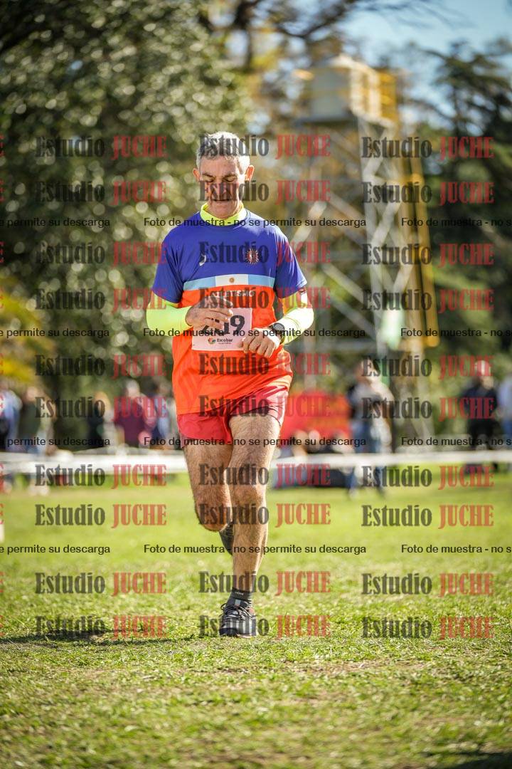 Fotos de la llegada del cross de 1500 m