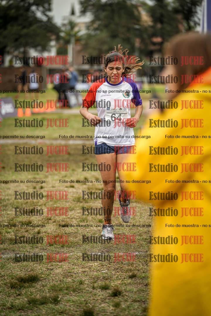 Fotos de la llegada