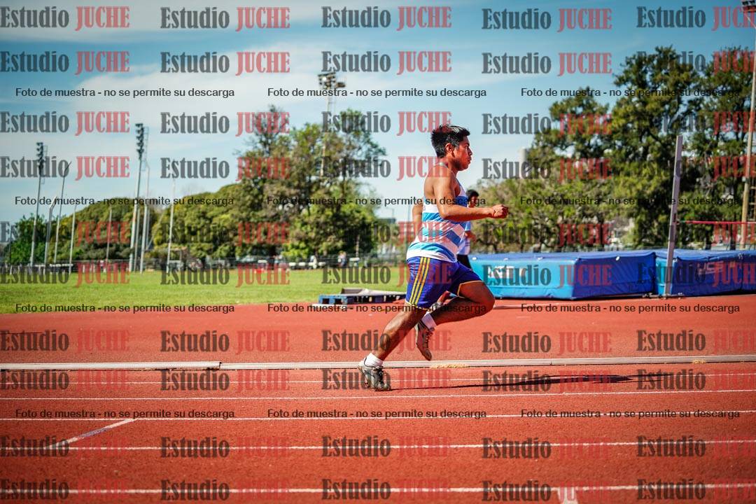 Fotos de los 800 m llanos de varones