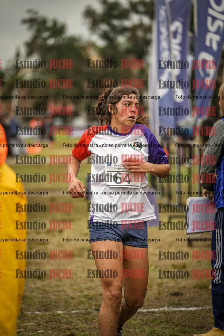 Fotos de la llegada