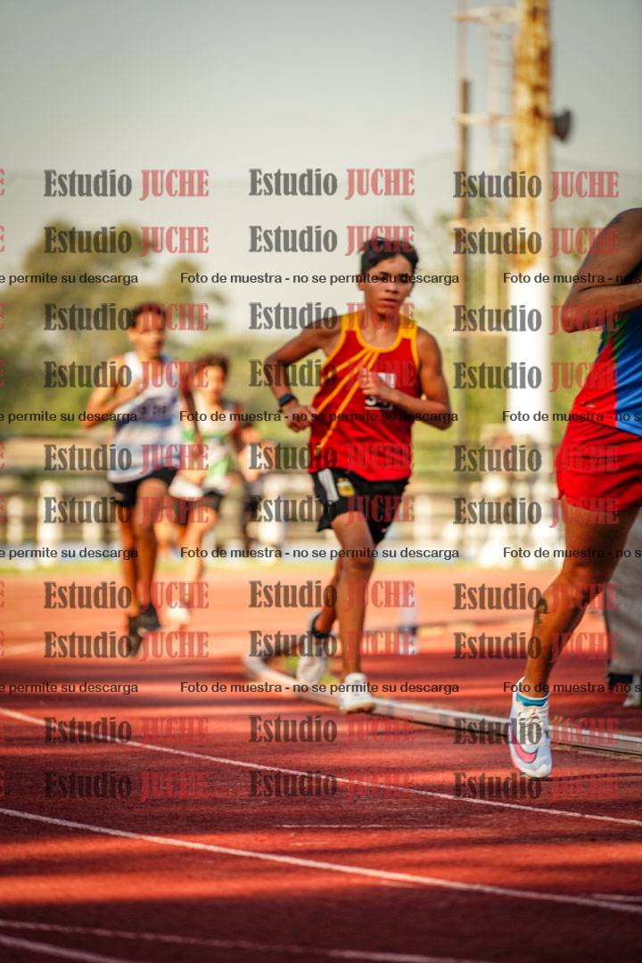 Fotos de los 800 m llanos de varones
