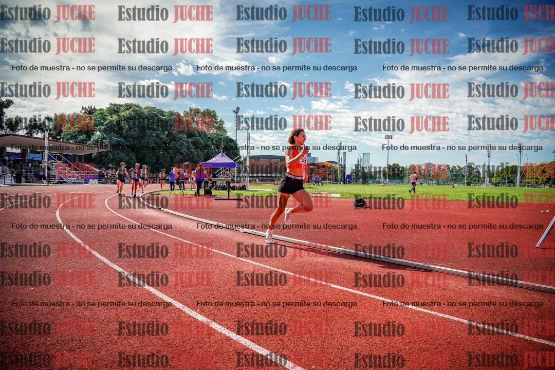 Fotos de los 800 m llanos de mujeres