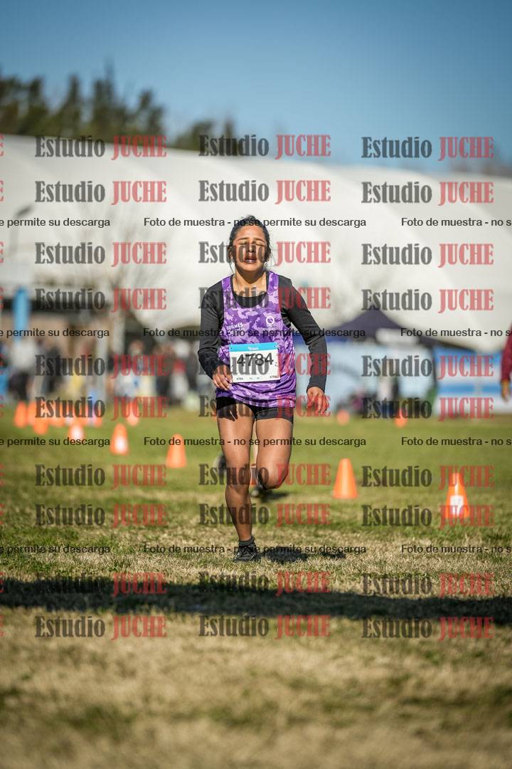 Fotos de las llegadas