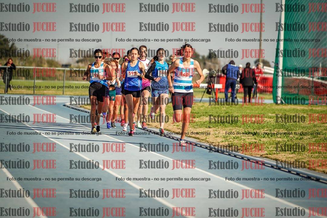Fotos de los 1500 m llanos de mujeres