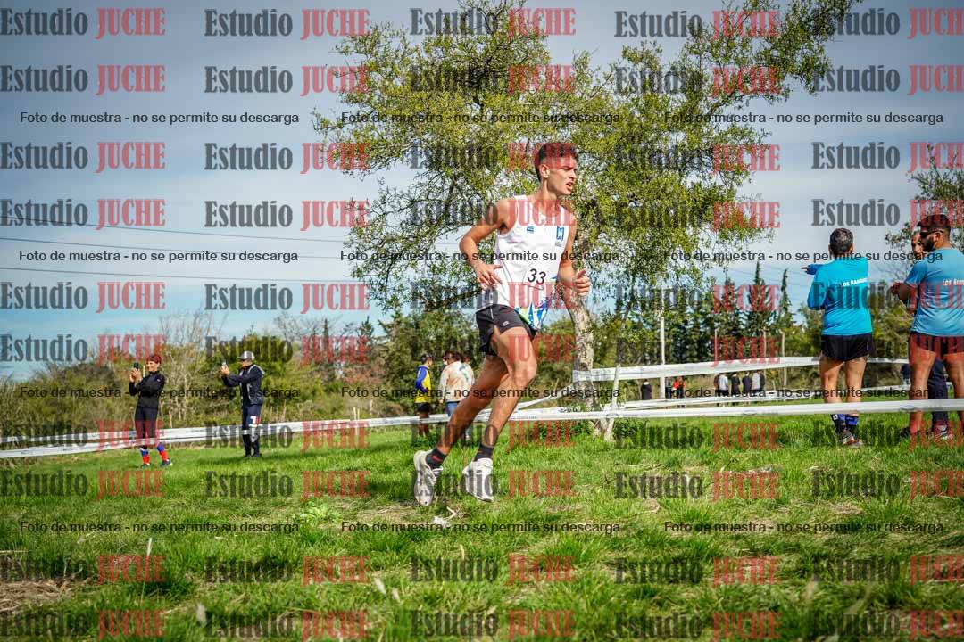 Fotos en el circuito