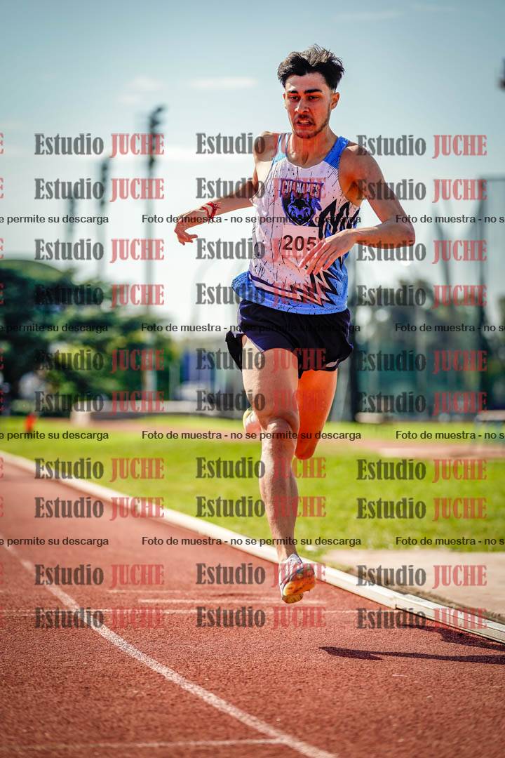 Fotos de los 800 m llanos de varones