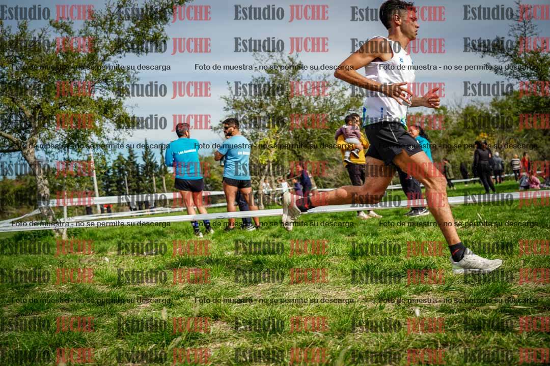 Fotos en el circuito