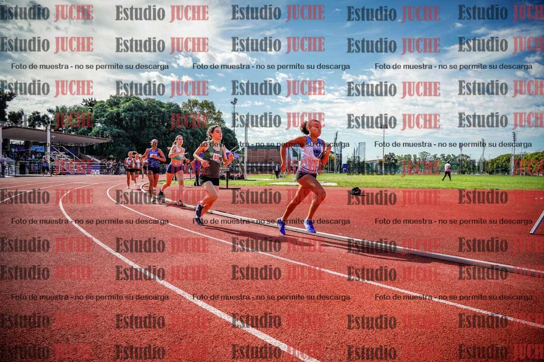 Fotos de los 800 m llanos de mujeres