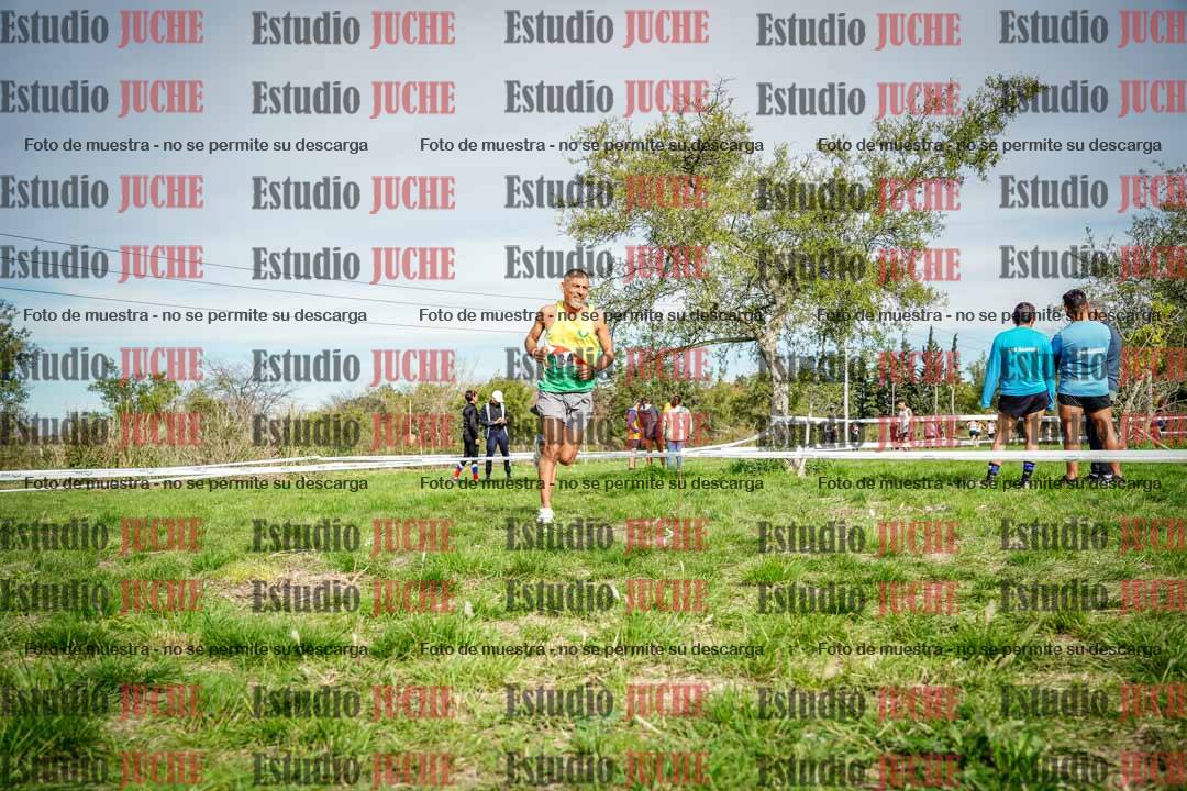 Fotos en el circuito