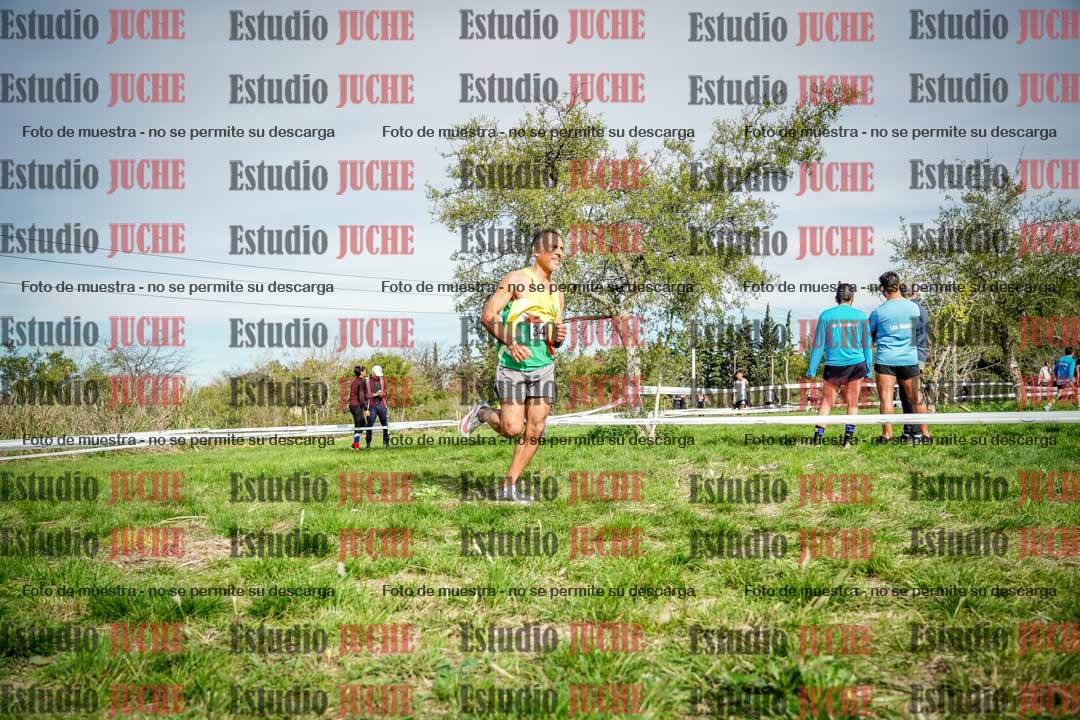 Fotos en el circuito