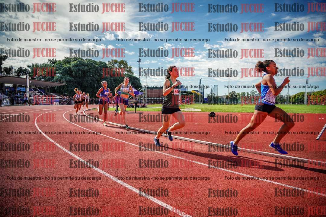 Fotos de los 800 m llanos de mujeres
