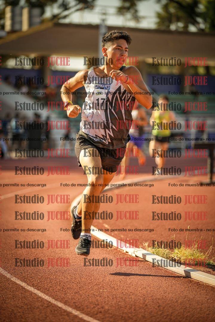 Fotos de los 800 m llanos de varones