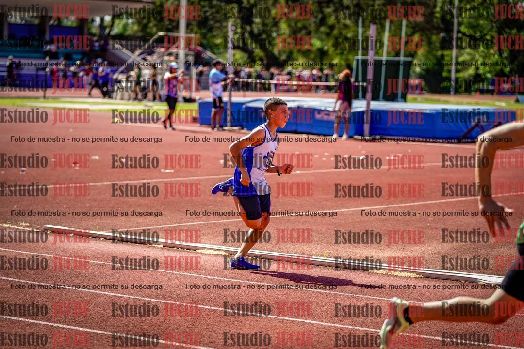 Fotos de los 800 m llanos de varones