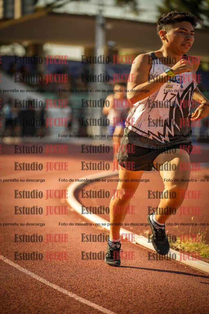 Fotos de los 800 m llanos de varones