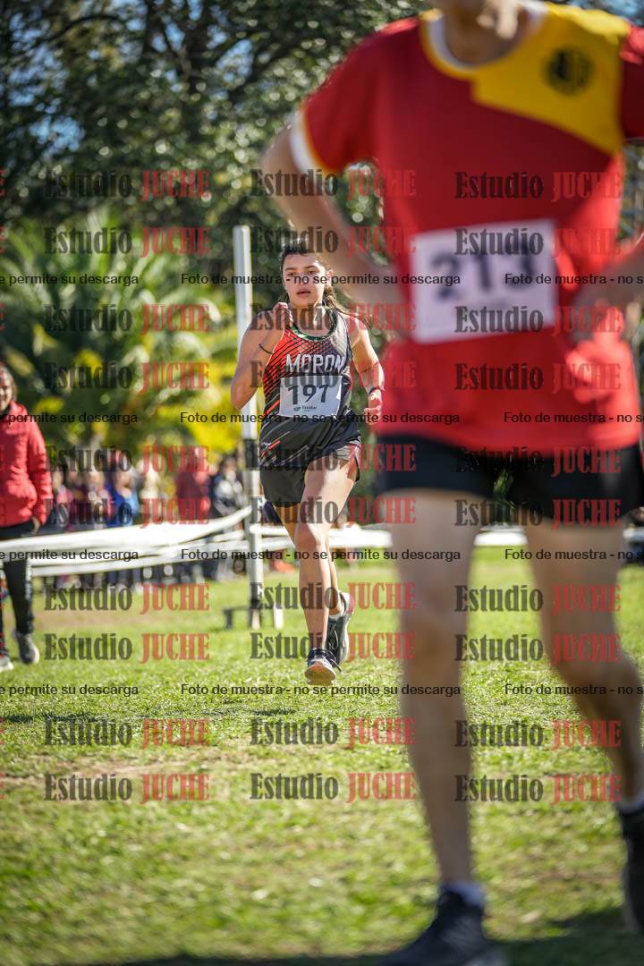 Fotos de la llegada del cross de 1500 m