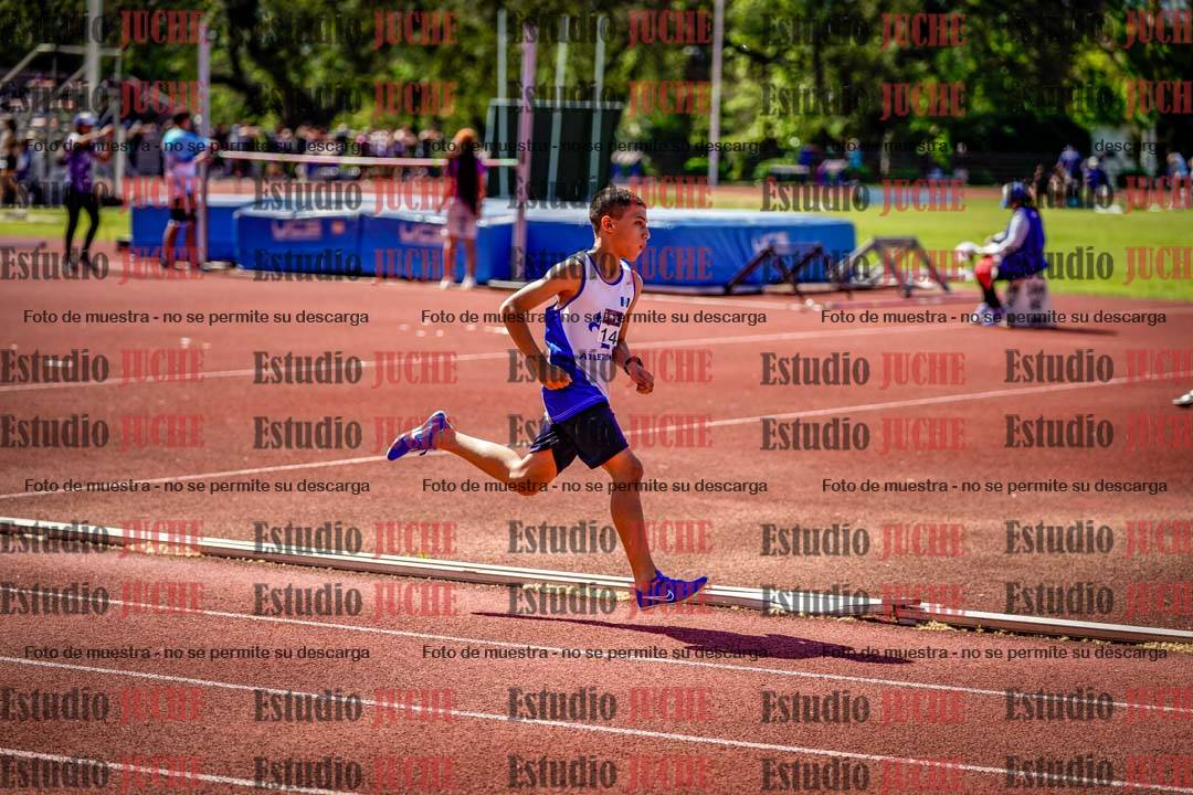 Fotos de los 800 m llanos de varones