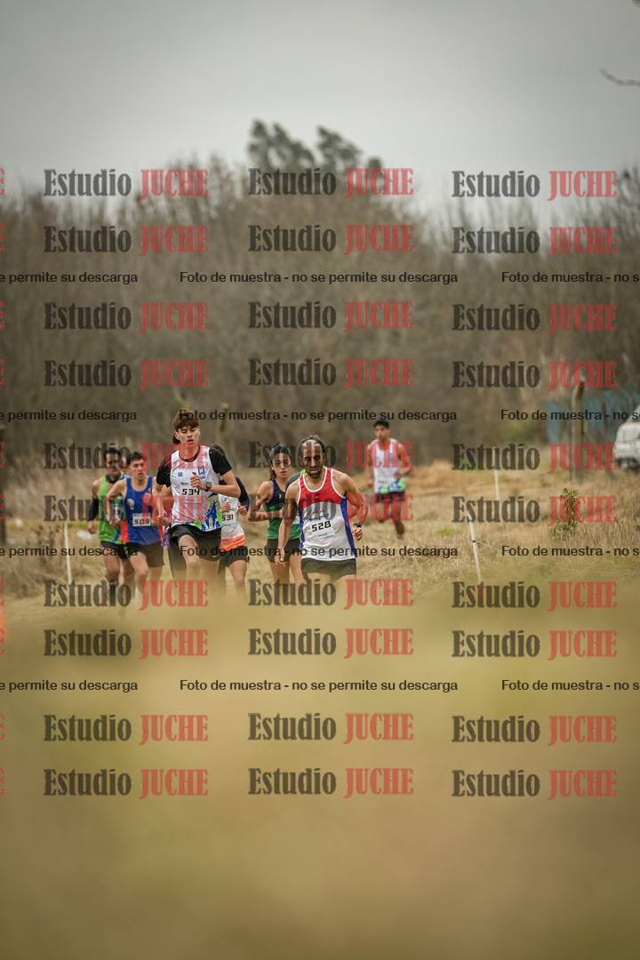 Fotos en el circuito