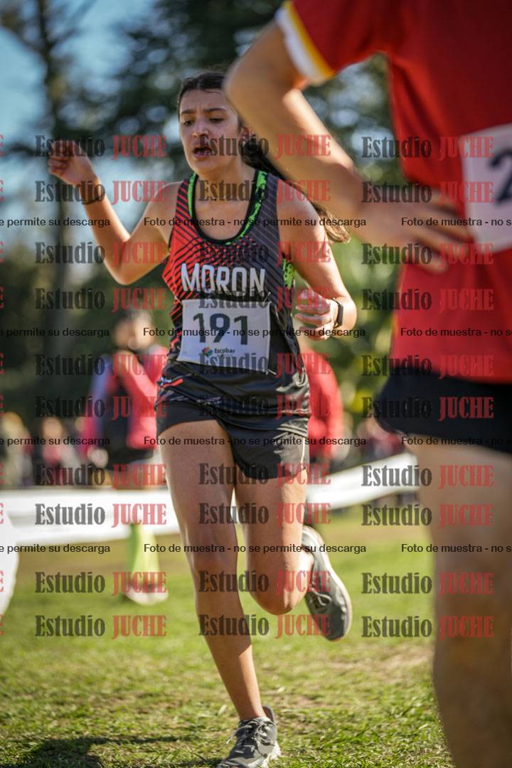 Fotos de la llegada del cross de 1500 m