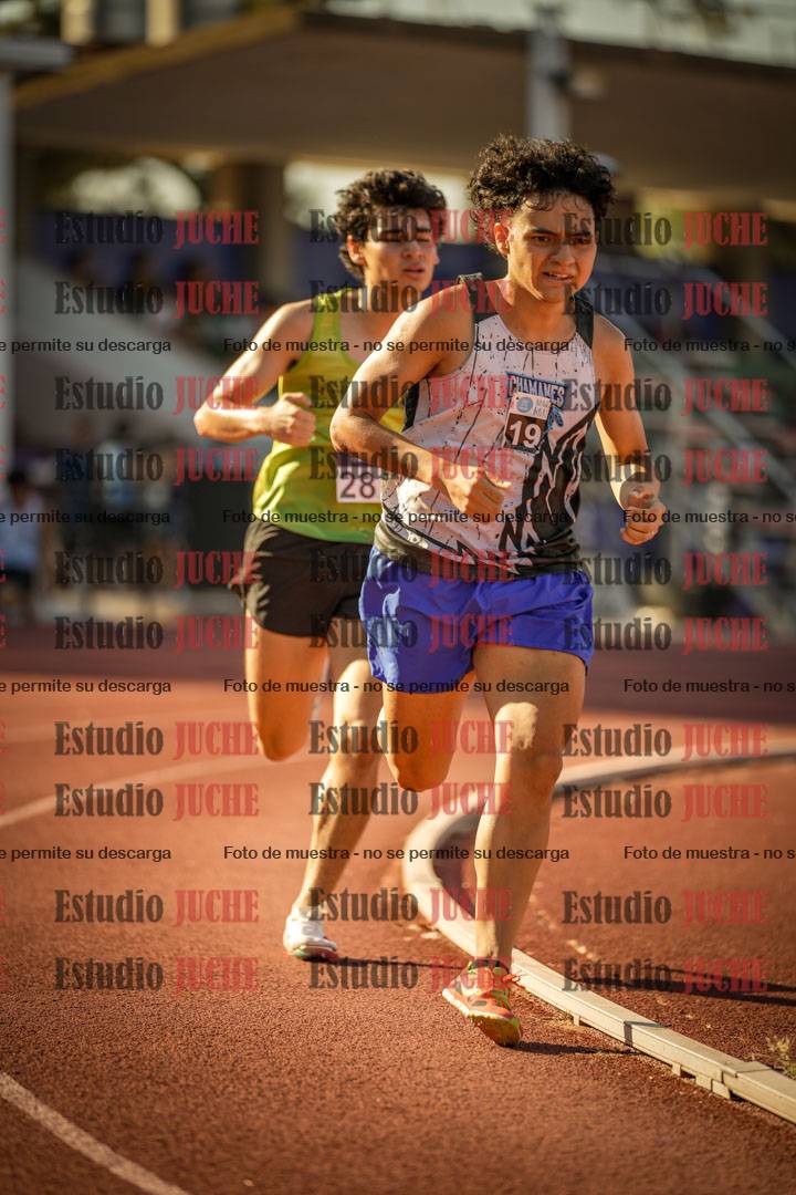 Fotos de los 800 m llanos de varones