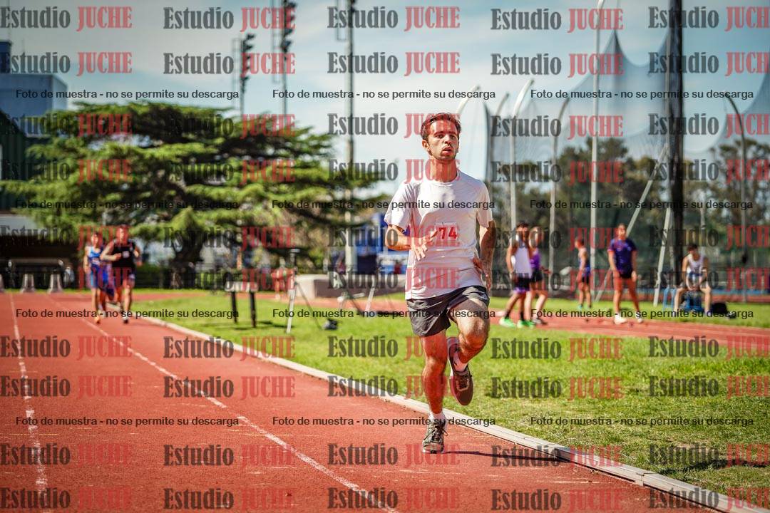 Fotos de los 800 m llanos de varones