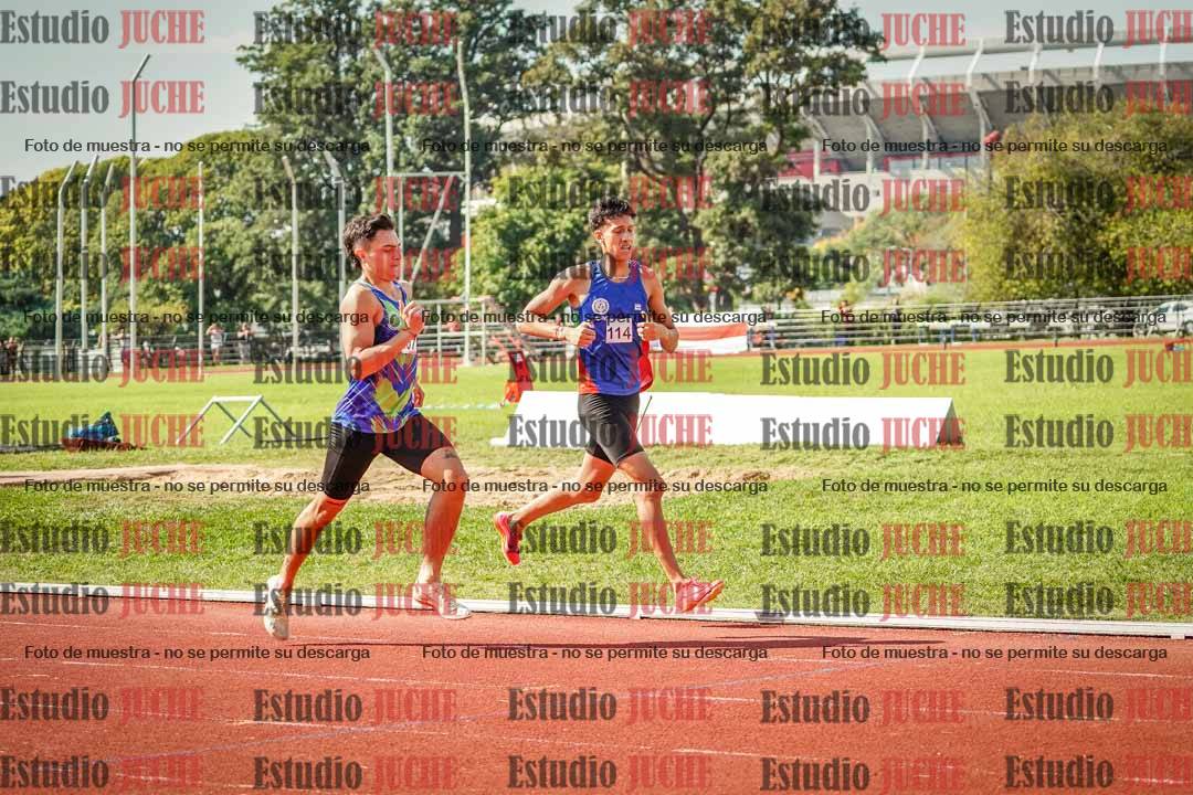 Fotos de los 800 m llanos de varones