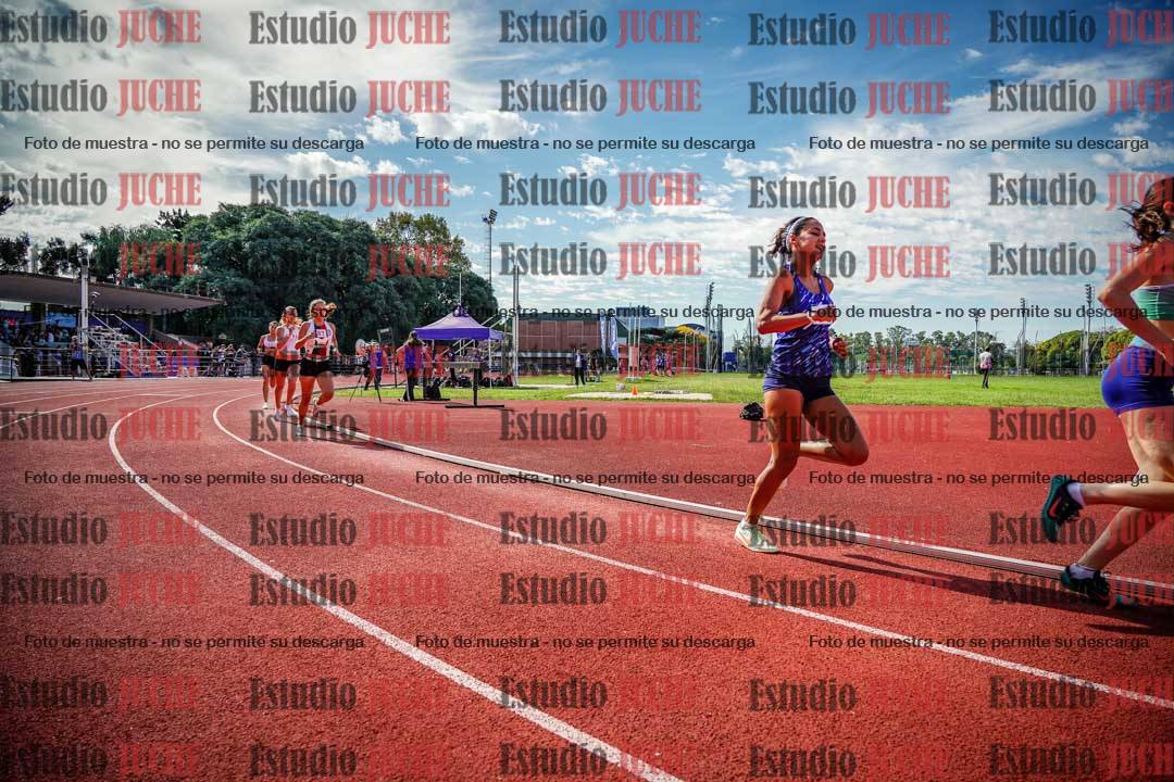 Fotos de los 800 m llanos de mujeres