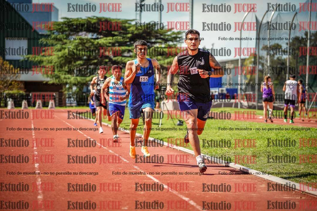 Fotos de los 800 m llanos de varones