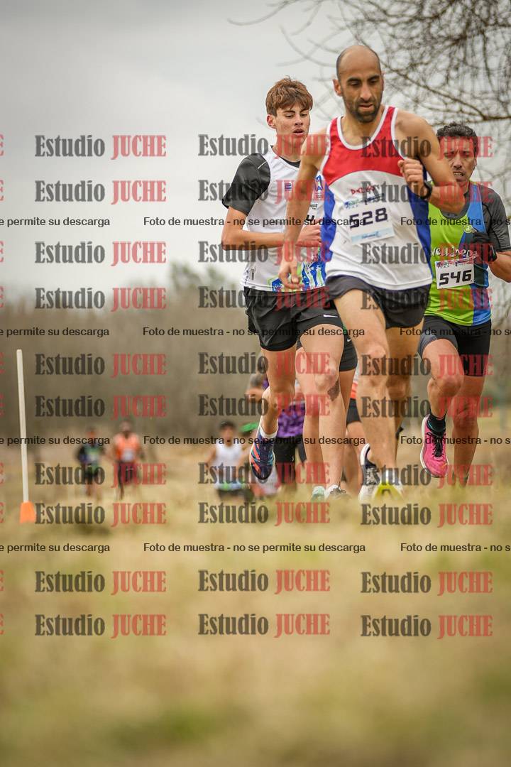 Fotos en el circuito