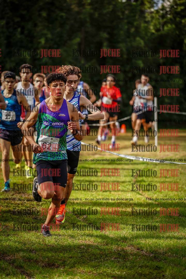 Fotos en el circuito