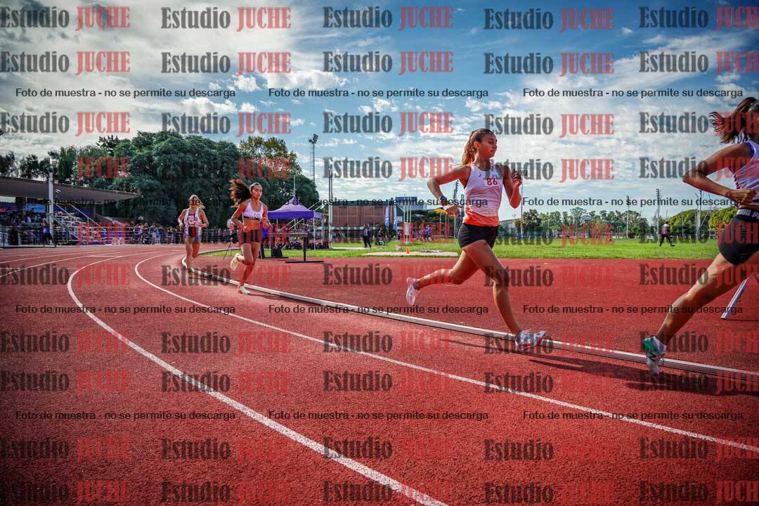 Fotos de los 800 m llanos de mujeres