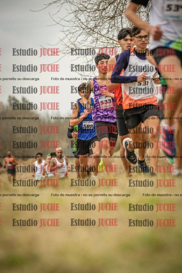 Fotos en el circuito